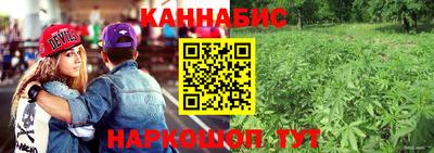 MDMA Гай