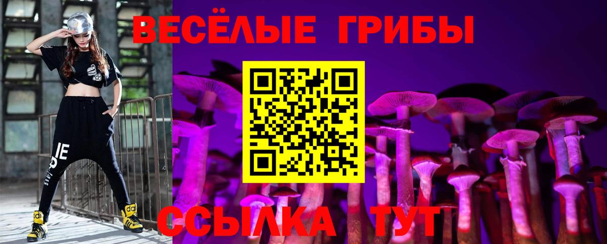 Галлюциногенные грибы GOLDEN TEACHER  Вход с VPN  Галлюциногенные грибы Magic Shrooms  купить наркотик  Трёхгорный 